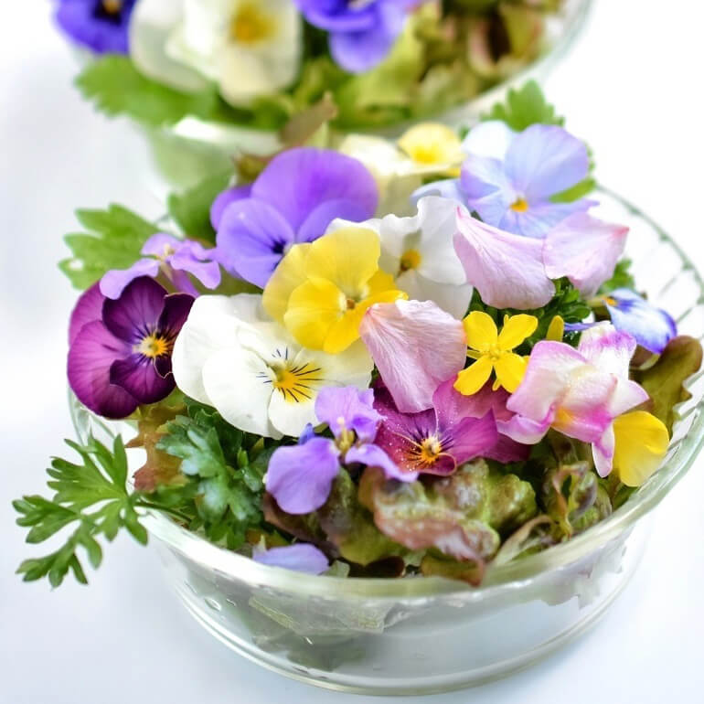 Bag to nature Vurrukkulluk Veldboeket eetbare bloemen van Seedforfood