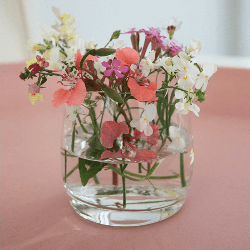 niko niko confetti met bloemzaadjes