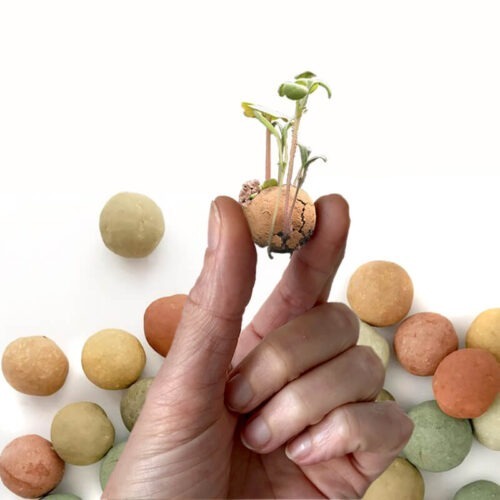 blossombs bloembommetjes duurzaam cadeau
