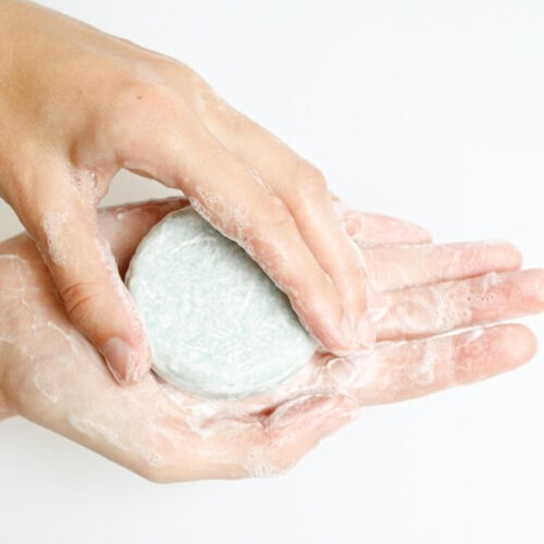 shampoo bar shampoo bars eucalyptus