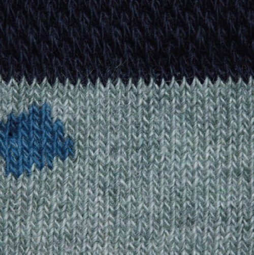 coral men sock healthy seas socks