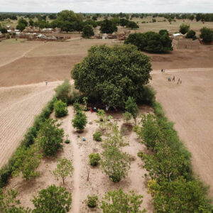 trees for the future - landgoed